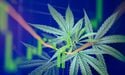  10 cannabis stocks in focus 