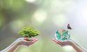 Address climate change & biodiversity loss side by side, says UN