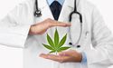 Democratic Senators roll out draft bill to legalize marijuana