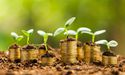  Can penny stocks help you create long-term wealth? 