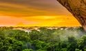  No more a carbon sink? How has the Amazon rainforest changed? 