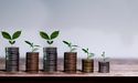 What are the top 10 small cap stocks in the UK?