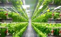  What is vertical farming? 