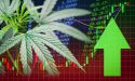  Will Tilray (TLRY) become the next big cannabis stock in North America? 