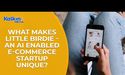  What Makes Little Birdie - An AI enabled e-commerce startup unique ? 