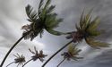Hurricane Ida lashes Louisiana, natural gas output hit