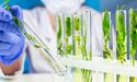  Top five biotechnology stocks to explore that are under US$100 