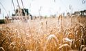 Australian farmers are on track to achieve record production in 2021-2022