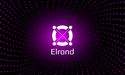  Elrond Crypto Experiences Rapid Growth – But Why? 