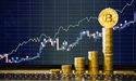 The surge game: PKD prices soar by 20%