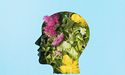 Why is therapy for everyone?