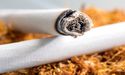  Should you buy these 2 tobacco stocks? 
