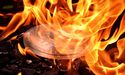  7 Red Hot Altcoins Burning Up the Market   