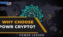 POWR crypto: An eco-friendly token for investors