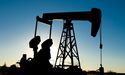 Crude oil rallies after leading oil consumers tap SPR