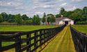 Andrew Twiggy’s Tattarang buys farmlands, rural property on mind