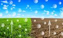 WA Government releases 3M hectares of land to boost carbon farming