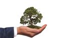 How to make your organisation eco-friendly?