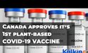  Canada approves it’s 1st plant-based Covid-19 vaccine. 