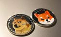  Top 3 meme cryptos by market cap to watch after Ukraine’s Dogecoin move 