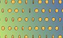 What is Freedom. Jobs. Business. crypto project & its native FJB coin?