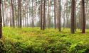Hostplus, Octopus Australia & CEFC to back energy park in Gippsland