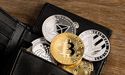  Exodus, Ledger: Know more about these popular crypto wallets 