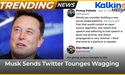  Musk Sends Twitter Tounges Wagging | Trending News Australia 