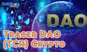  Why Was Tracer DAO (TCR) Crypto Gaining Attention? 