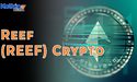  What is Reef (REEF) Crypto? 