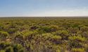 VRX Silica (ASX:VRX) successfully tests water production bore at Arrowsmith North