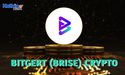Why is Bitgert (BRISE) Crypto Trending?