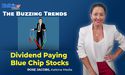 How Much Dividend ASX Blue Chips Companies Are Paying?