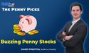  Which penny stocks are rallying massively, defying market gloom? 