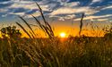 What is the role of Agricultural Climate Solutions (ACS) in Canada?