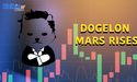  Are Binance Listing Talks Fueling ELON Token Surge? 
