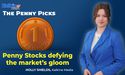  Which Penny Stocks are delivering massive gains to investors today? 
