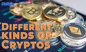  How many kinds of Cryptos are trading in the market? 