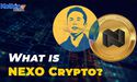  Why Did NEXO Crypto Suffer After Its Elon Musk Related Tweet?, 