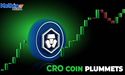  What made CRO coin, native token of the crypto com exchange fall? 