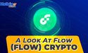 What is Flow (FLOW) crypto and why it is unique?,