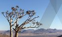 Arcadia (ASX:AM7) sharpens exploration focus on Kum Kum Nickel Project after positive study results