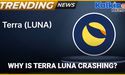  Terra Luna Devastating Crash | Trending News Australia 