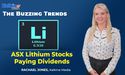 RIO, MIN, WES: A look at ASX lithium stocks paying dividends