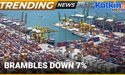  Why Is Brambles (ASX:BXB) Sinking Post Monday's Price Surge? | Trending News 