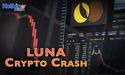  Why Has Luna Plummeted Enormously?, 
