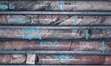 C29 Metals (ASX:C29) hits ‘promising’ skarn mineralisation at Reedy Creek