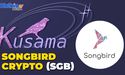  Is Songbird Crypto The Next Big Thing In Crypto Market? 