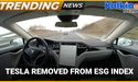  Why did S&P Dow Jones Indices Remove Tesla From ESG Index? 