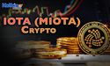 All You Need To Know About IOTA (MIOTA) Crypto 